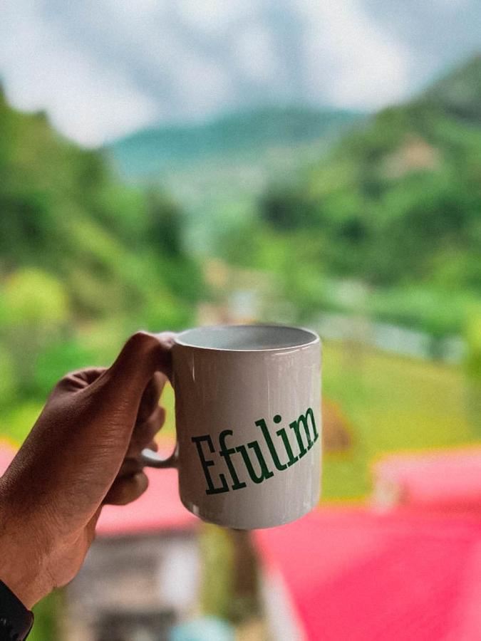 Efulim Apart Çamlıhemşin Esterno foto